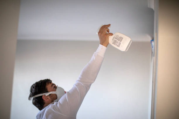 Best Residential Mold Remediation in Northport, AL